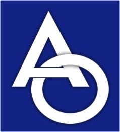 Akin Oto Logo.jpg